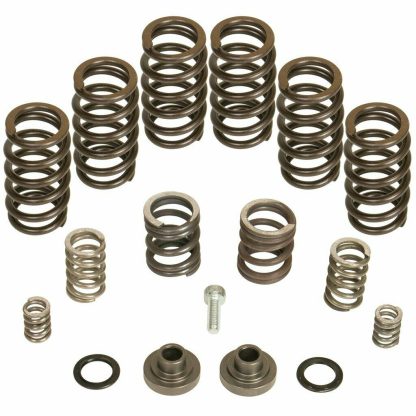 BD Diesel P7100 4000RPM Governor Spring Kit