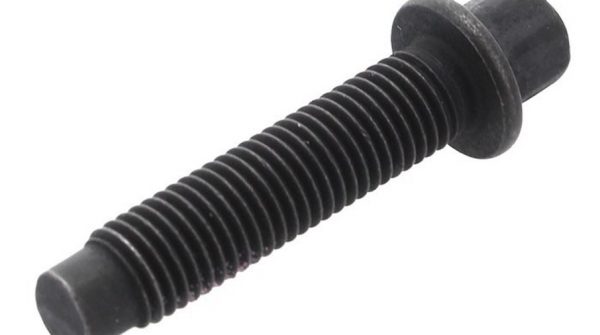 Motorcraft Injector Oil Deflector Spout Bolt