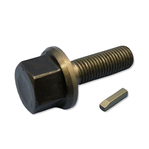 Crankshaft Bolt