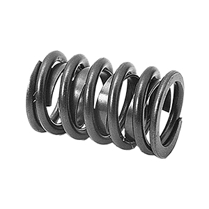 Valve Springs