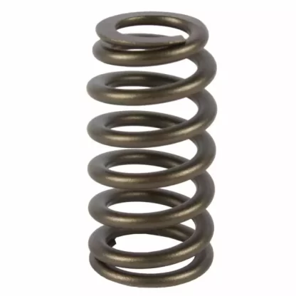 Motorcraft Valve Spring - BC3Z6513A